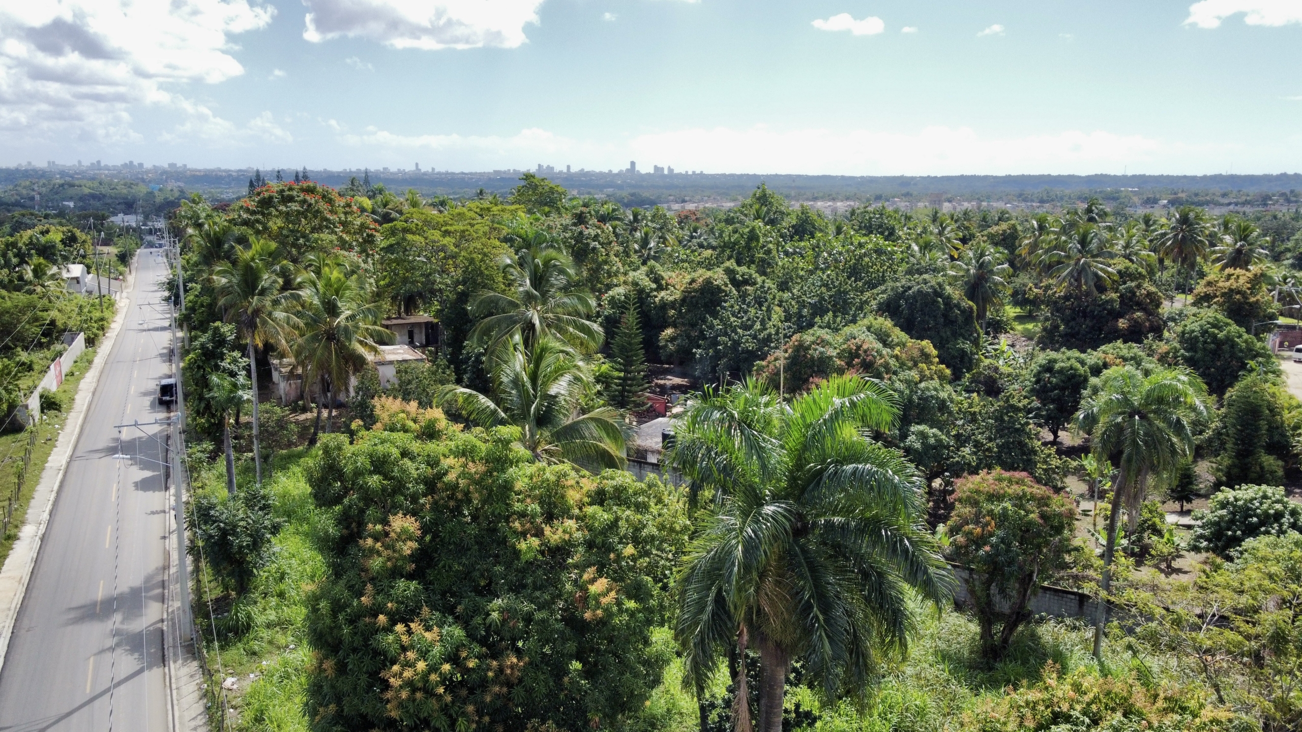 Commercial Land for Sale or Rent – Hato Nuevo, Santo Domingo, Dominican Republic – photo 5